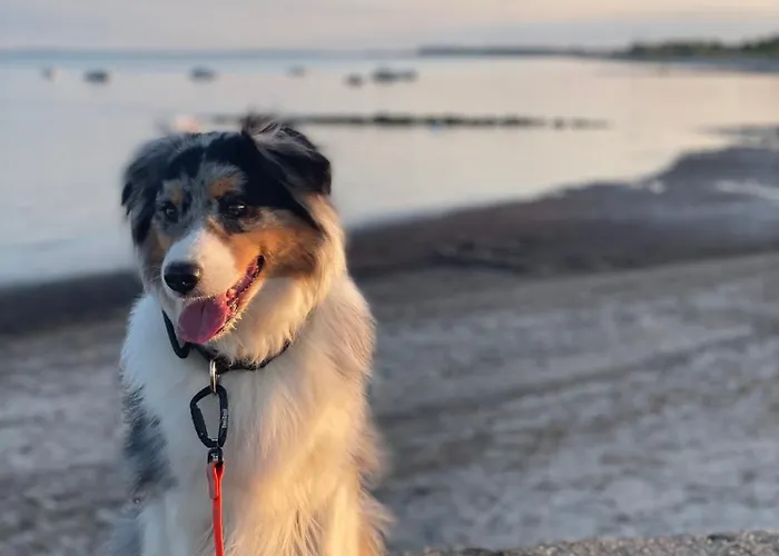 Luette Welle Апартаменты