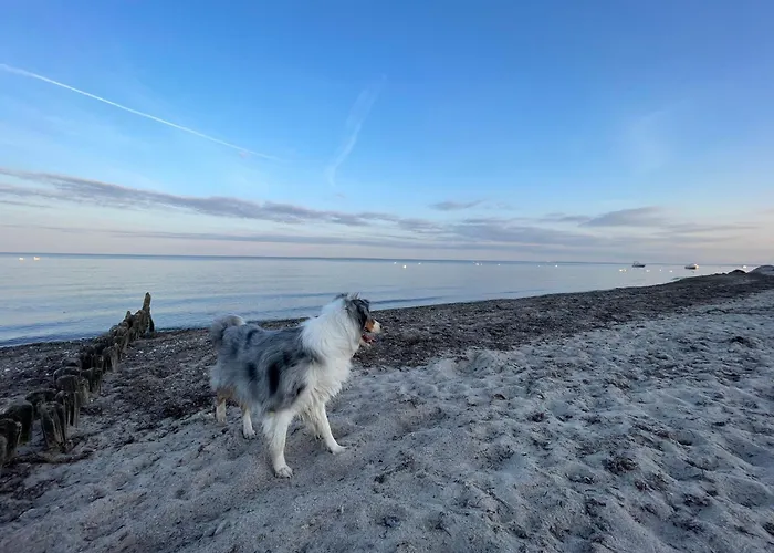 Апартаменты Luette Welle